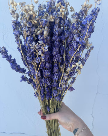 Dried Purple Larkspur Bundle