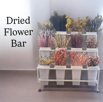 Introducing the Backbone Dried Floral Bar! 🌼💐