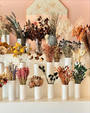 SD Voyager Interview