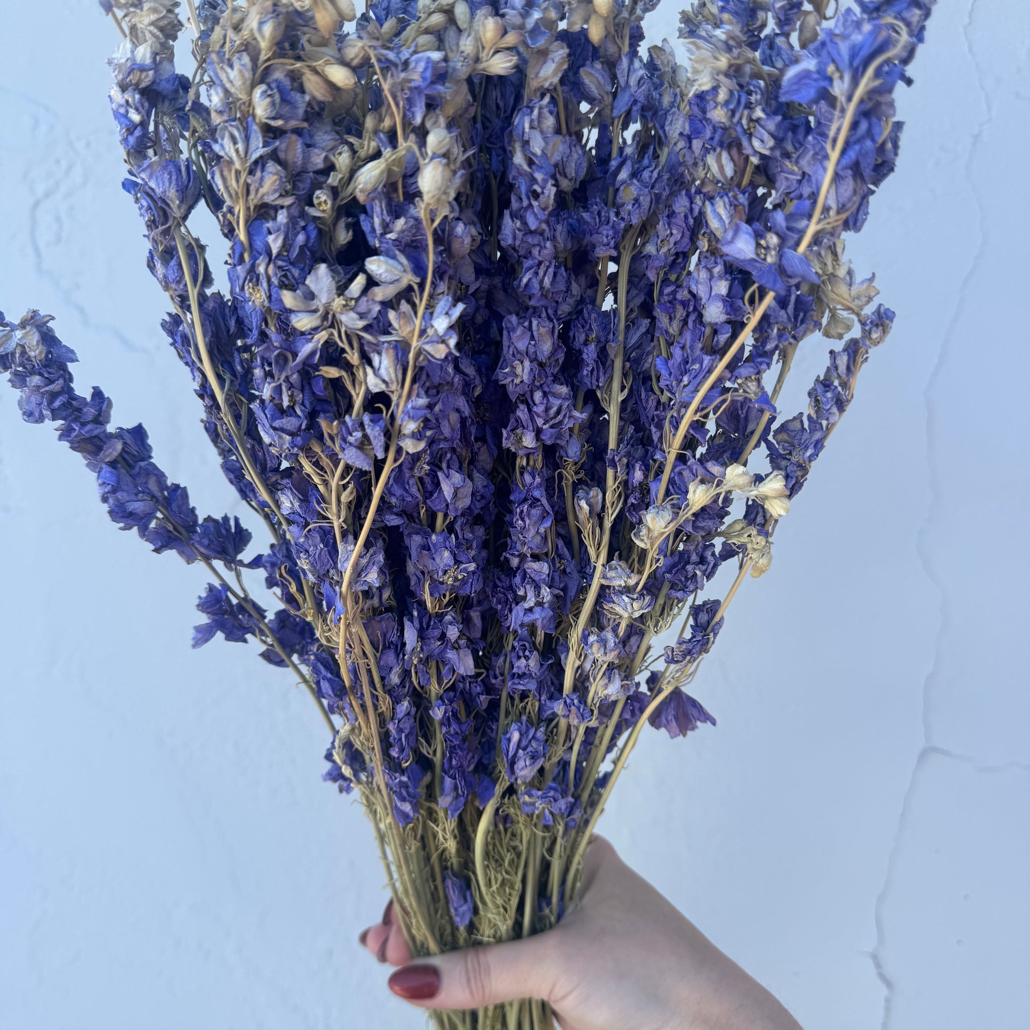 Dried Purple Larkspur Bundle